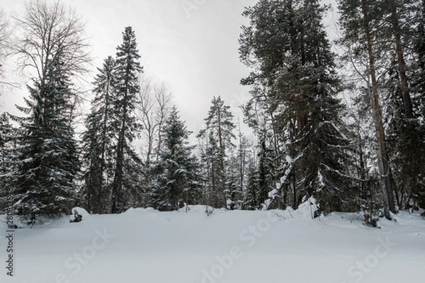 Fototapeta ЗИМА УРАЛА