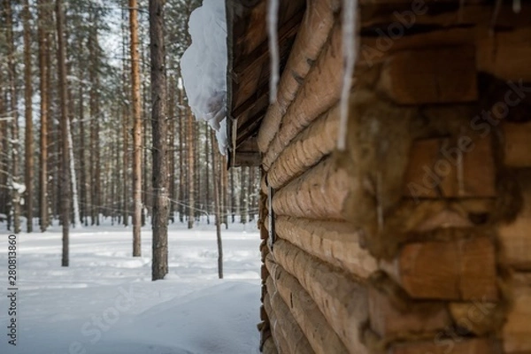 Fototapeta ЗИМА УРАЛА