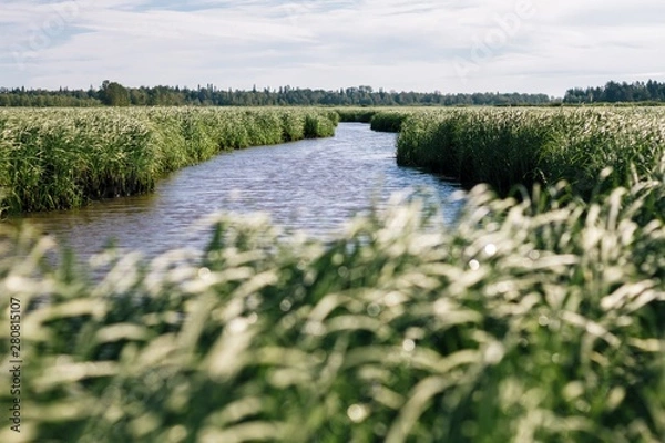 Fototapeta ПРИРОДА