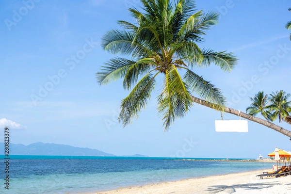 Fototapeta Coconut palm trees on island and sand beach. Summer concept