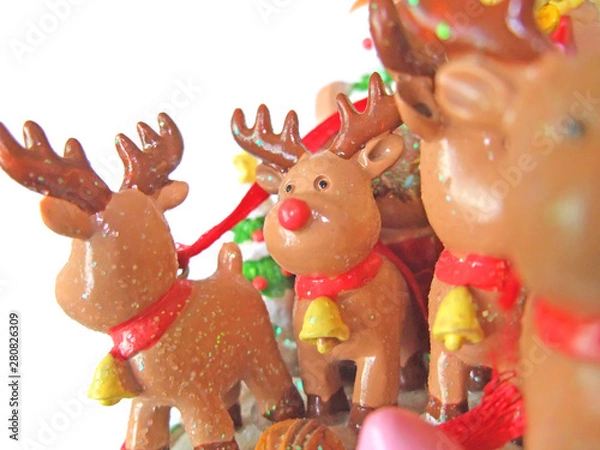 Fototapeta トナカイ