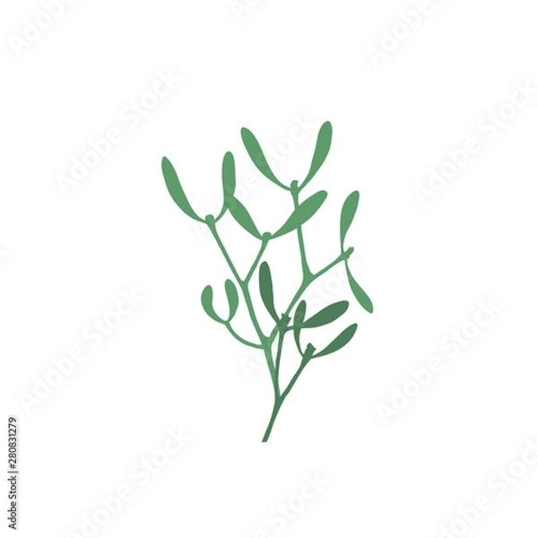Fototapeta ink branch of mistletoe