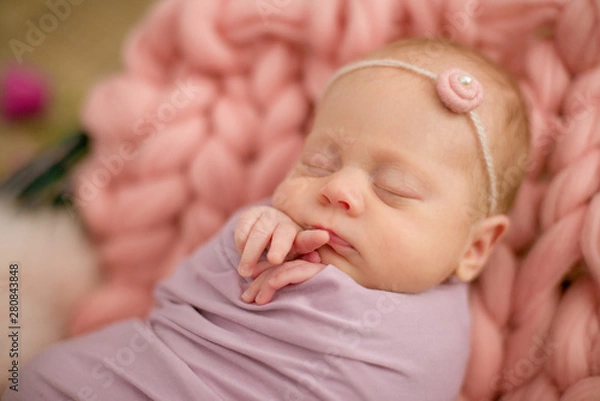 Fototapeta Perfect newborn baby girl in pink blanket in a wicker basket decorated with beautiful spring pink tulips