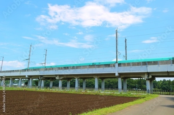 Fototapeta 風景　田舎　高架橋　新幹線　杤木