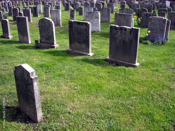 Obraz graveyard 4