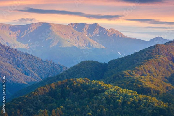 Fototapeta fagaras mountain ridge at dusk.  forested hills and high peaks in reddish light. amazing scenery of romania nature. clouds on the purple summer sky