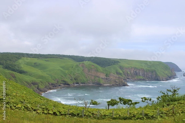 Obraz 浜中町　海岸