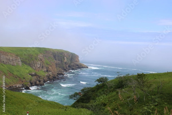 Obraz 太平洋　海岸