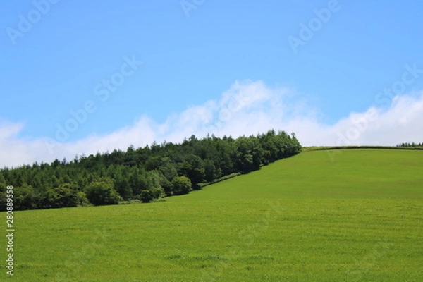 Obraz 草原イメージ