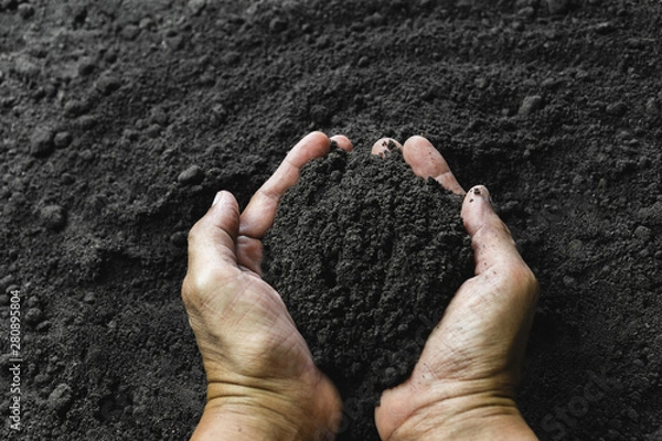 Fototapeta Closeup hand of person holding abundance soil for agriculture or planting peach concept.