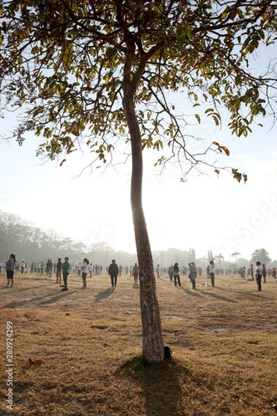 Obraz people doing aerobic 