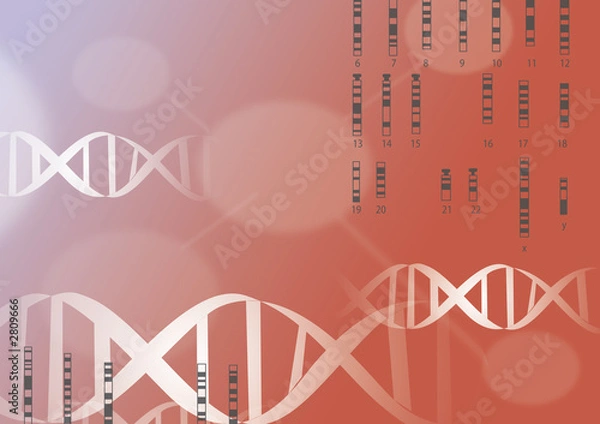 Obraz chemical sheet