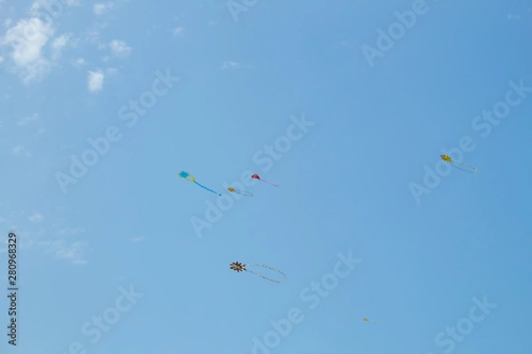 Obraz Kite floating in the blue sky with tasseled tail