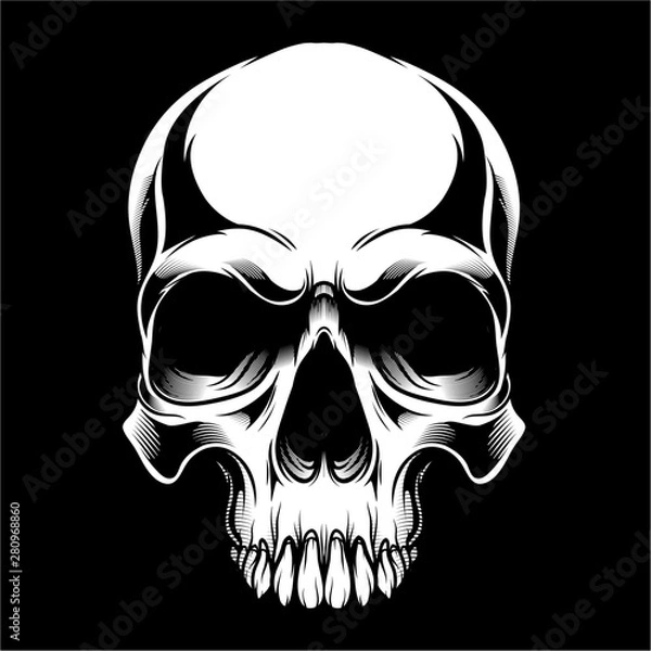 Obraz skull,.vector hand drawing,Shirt designs, biker, disk jockey, gentleman, barber and many others.isolated and easy to edit. Vector Illustration - Vector