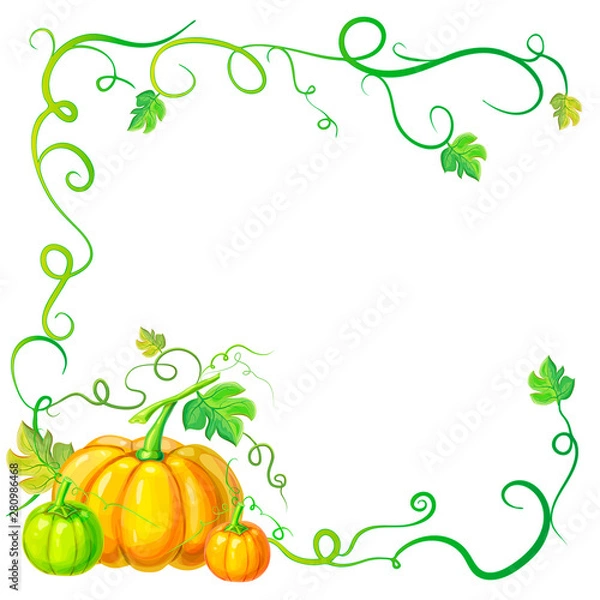 Fototapeta autumn frame with pumpkins and vines, leaves and place for text. Thanksgiving, halloween or corn festival card template, border or banner with pumpkins, leaves, curly tendrils. pumpkins concept