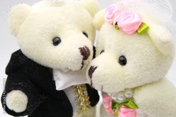 Obraz Bear Couple Close-up