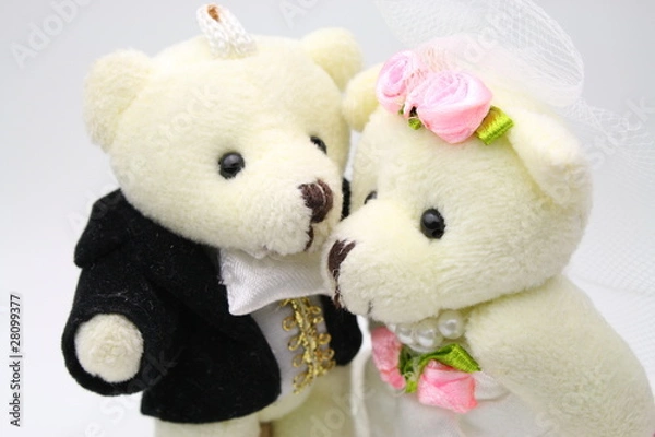 Obraz Bear Couple Crop