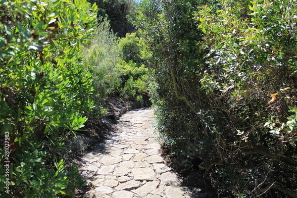 Obraz Camino piedras