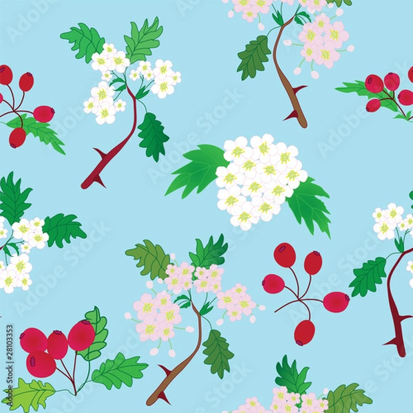 Obraz Seamless pattern with officinal hawthorn