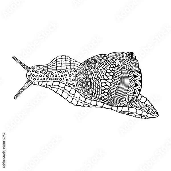 Obraz Snail hand drawn doodle