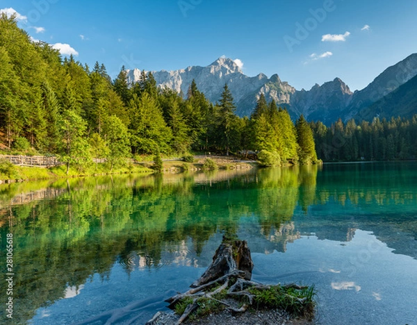 Obraz Alps Mountain Trees Reflected in a Lake