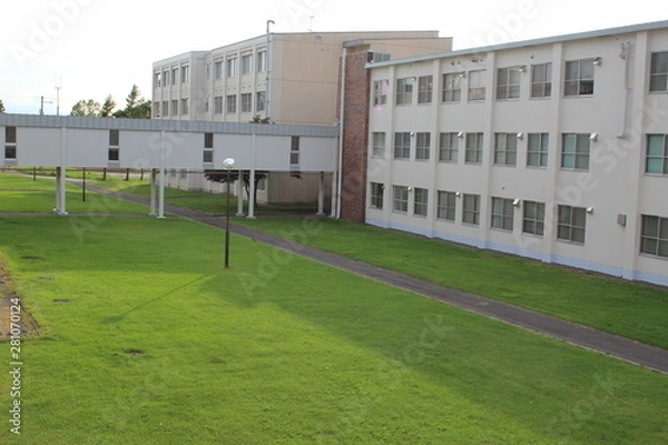 Fototapeta 大学のキャンパス