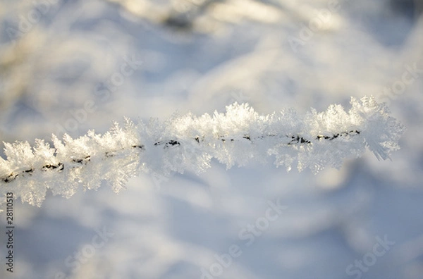 Obraz frost