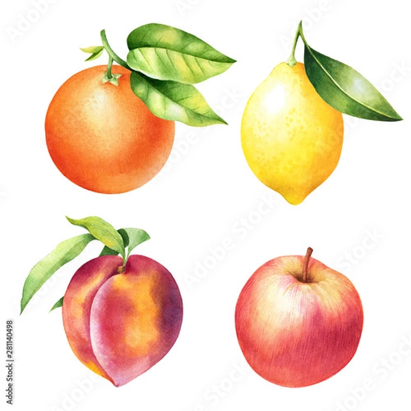 Fototapeta Set of hand drawn orange, lemon, peach and apple with leaves. Isolated watercolor illustration of fruit.