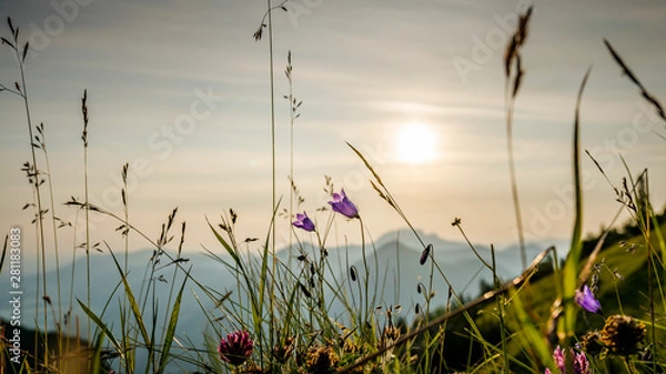 Fototapeta Herzogstand
