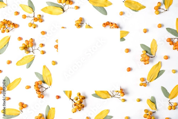 Fototapeta Autumn creative composition. Wreath made of leaves and rowan on white background. Autumn, fall, halloween, thanksgiving day concept. Flat lay, top view, copy space