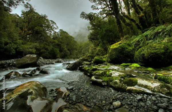Obraz tropikalny potok