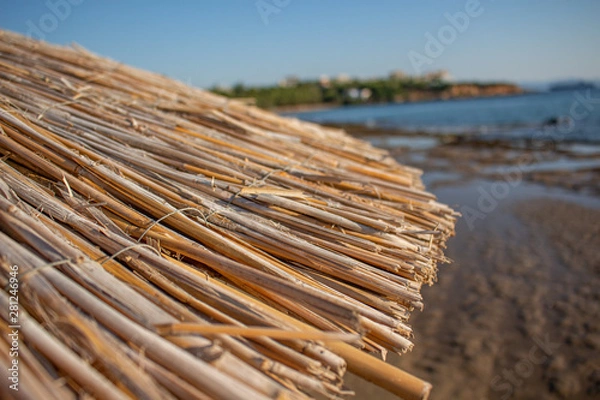 Obraz umbrellas on the beach