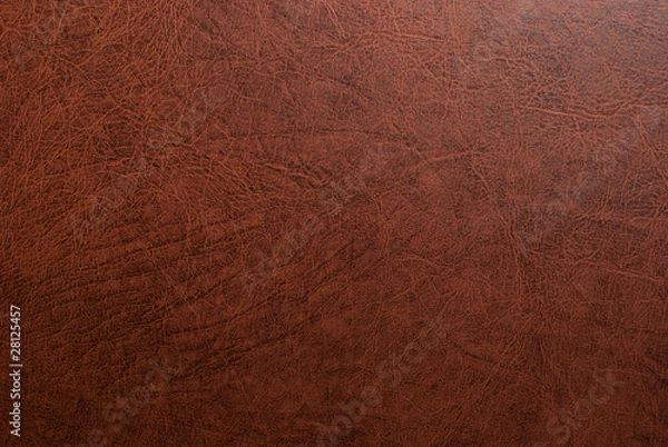 Obraz Leather texture