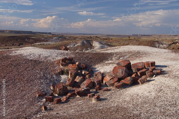 Fototapeta Petrified Forrest