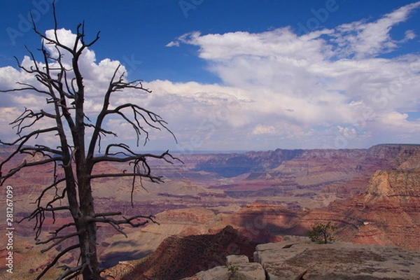 Fototapeta Great Canyon View