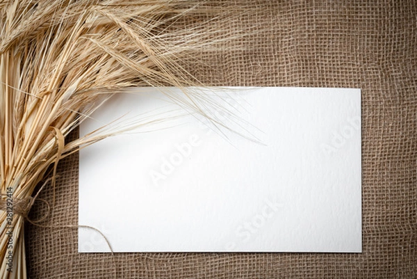 Obraz Yellow dry spikelets of wheat on burlap and white space for text. Still life close-up. Top view.