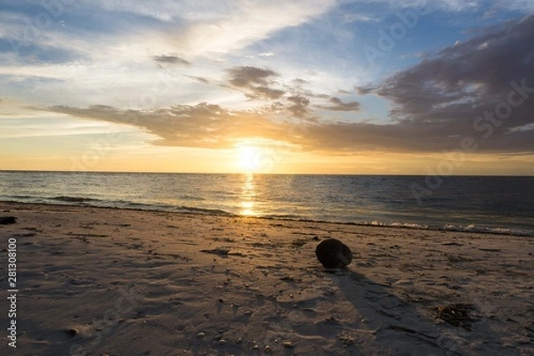Obraz Coconut sunset on a Florida Beach