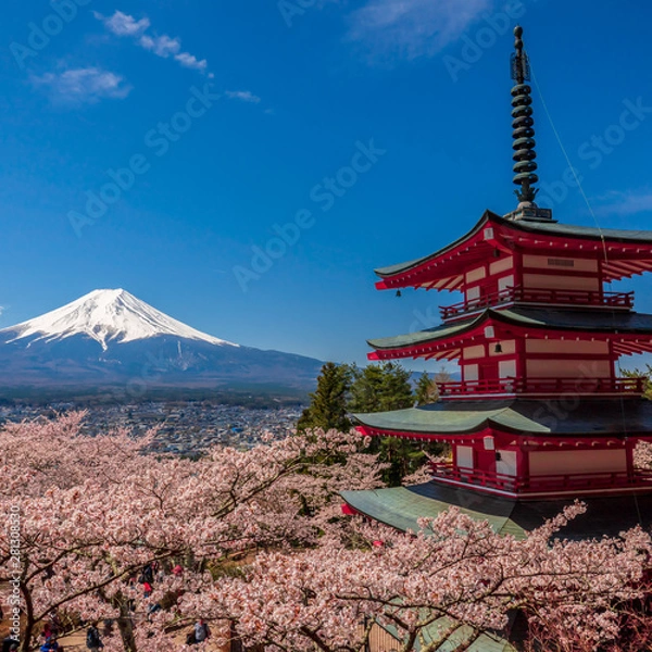 Fototapeta Chureito Pagoda and Mt. Fuji in the spring time with cherry blossoms at Fujiyoshida, Japan.