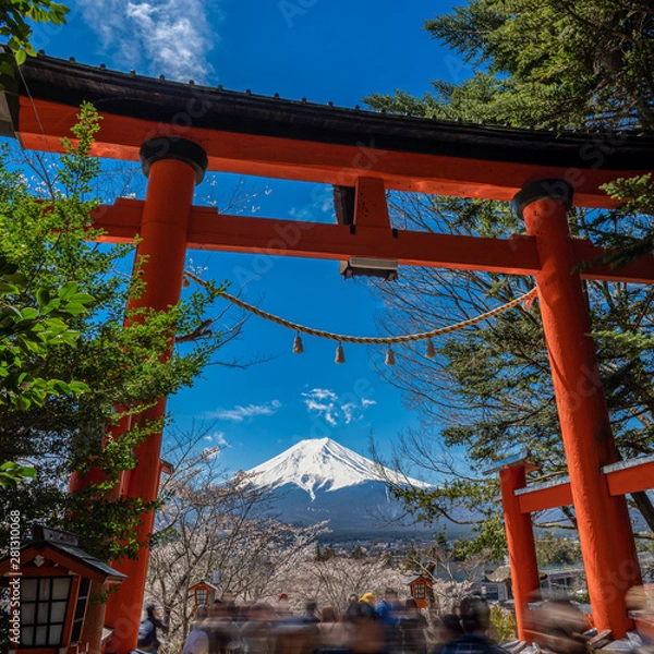 Fototapeta Chureito Pagoda and Mt. Fuji in the spring time with cherry blossoms at Fujiyoshida, Japan.