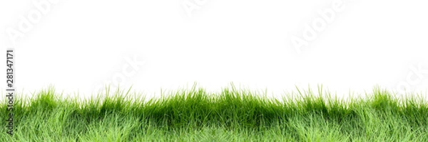 Fototapeta Banner of the grass field isolate on white background. Beautiful green grass on white background. Can use for add text and abstract background. Panoramic banner.