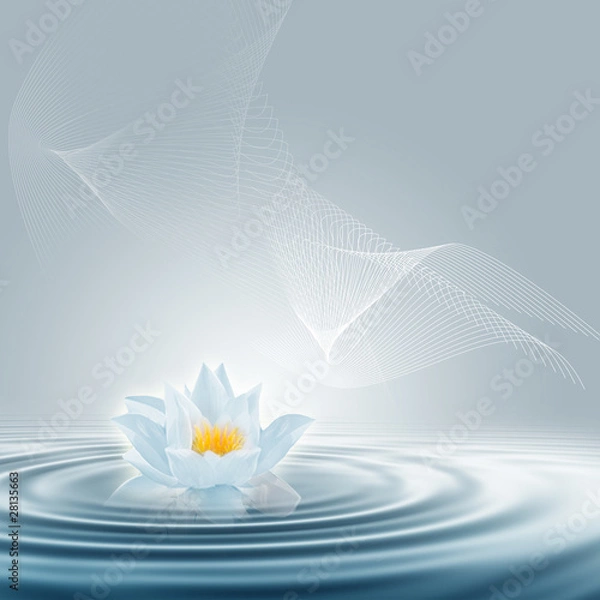 Obraz Abstract purification