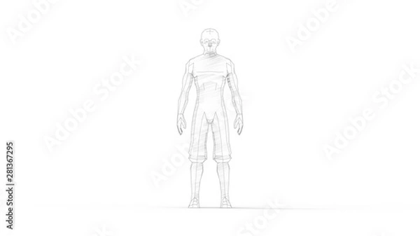 Fototapeta 3D rendering of a digital human model isolated in white background