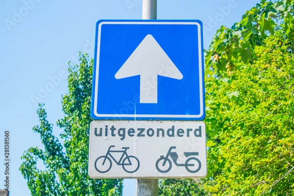 Obraz Dutch road sign one-way traffic