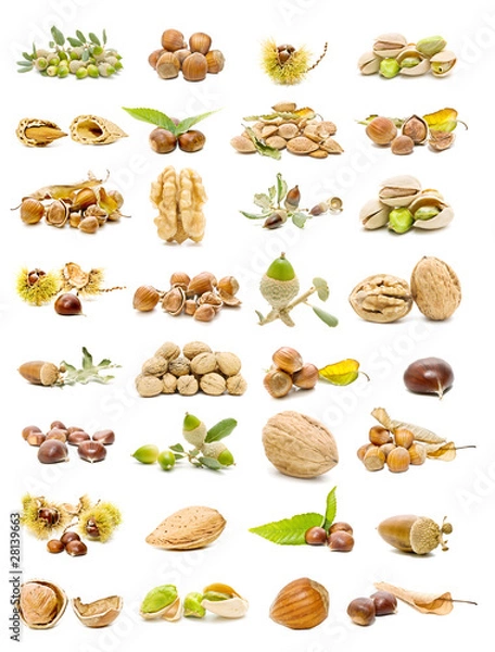 Obraz colección de frutos secos