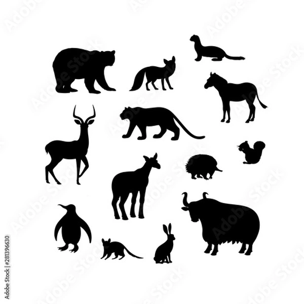 Fototapeta Set of animal silhouettes. Bear, fox, weasel, impala, tiger, zebra, penguin, okapi, echidna, squirrel, quoll, hare, yak