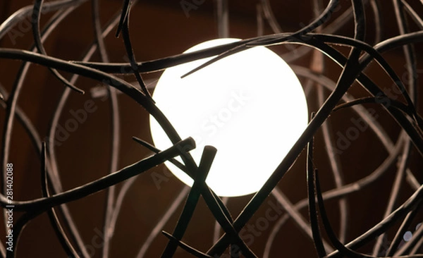 Obraz a light encircled by branches