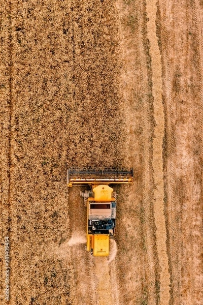 Fototapeta Aerial view of the combine harvester agriculture machine working on ripe wheat field.