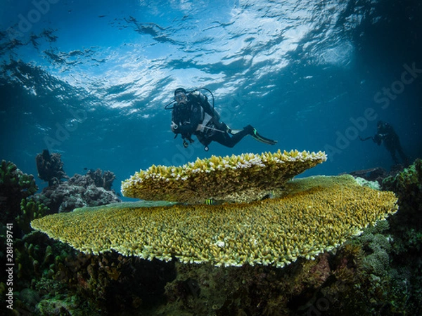 Fototapeta Nunukan Island Borneo and the Underwater World