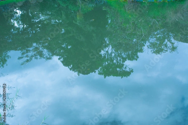 Fototapeta Reflection in the water of trees, plants and the blue sky
