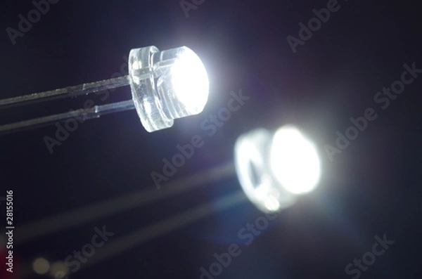 Obraz 白色発光ダイオード/黒バック